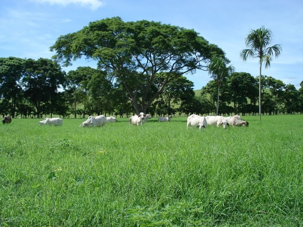 Cordoba-Colombia