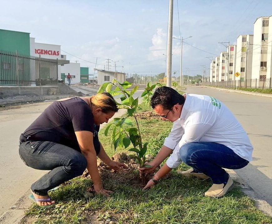 Jornada de siembra de árboles