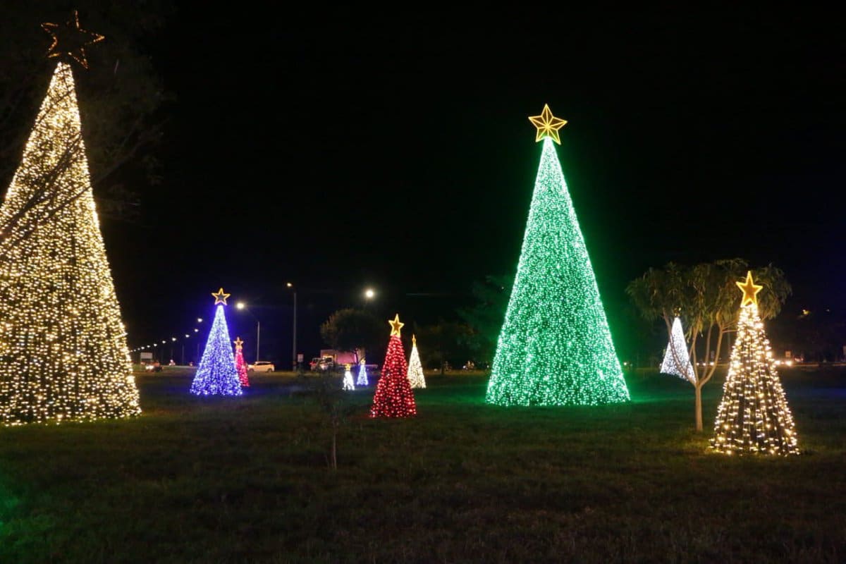 El encendido del alumbrado navideño en Montería es una de las atracciones que más esperan propios y visitantes para disfrutar de la magia de la Navidad en la capital cordobesa. 