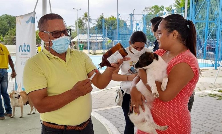 Semana de salud y bienestar animal en Montería va hasta el 3 de abril