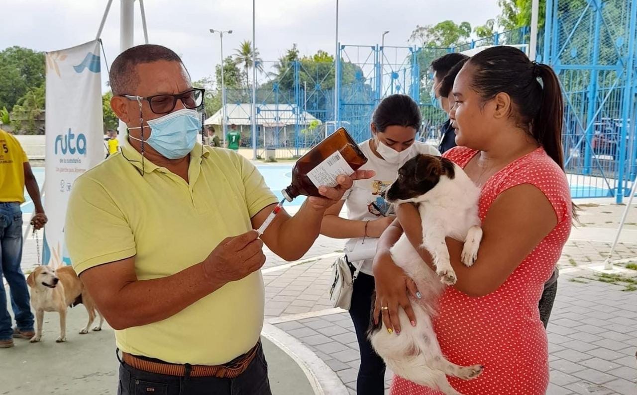 Semana de salud y bienestar animal en Montería va hasta el 3 de abril