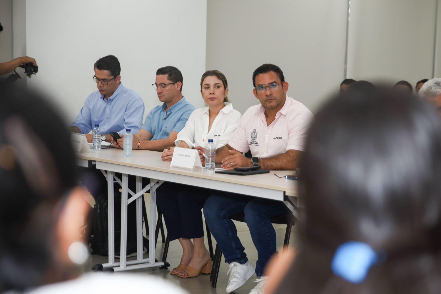 Montería tendrá un Comité de Bienestar Animal